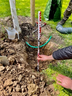 Bodenfeuchtesensorik&nbsp;&copy;&nbsp;Stadt Göttingen