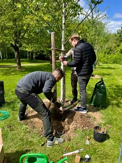 Bodenfeuchtesensorik6.jpg&nbsp;&copy;&nbsp;Stadt Göttingen