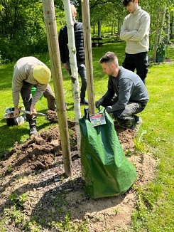 Bodenfeuchtesensorik7.jpg&nbsp;&copy;&nbsp;Stadt Göttingen