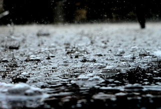 Regen.jpg Regen